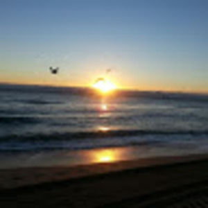 Meet your Posher, Ally